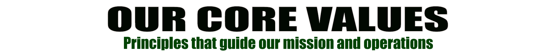 core values